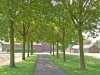 Allee Allee