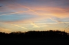 dsc_0102 dsc_0102