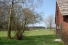 rhoenschafe-1 rhoenschafe-1