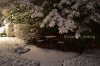 Schneenacht (12) Kopie Schneenacht (12) Kopie