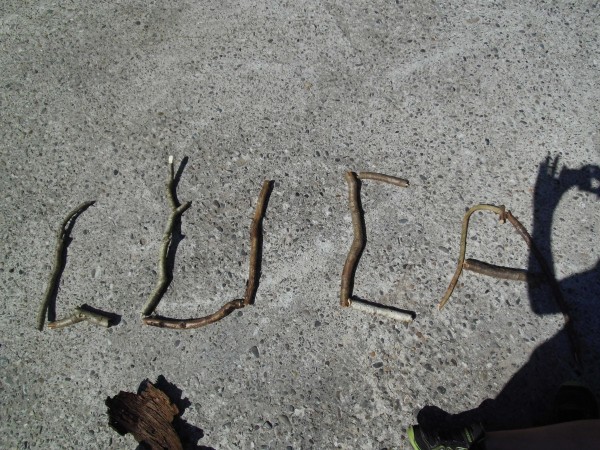 Naturkunst (13)