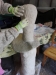 Beton-3 Beton-3