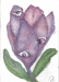 oberloskamp3