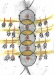 stracke2