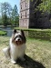 Henok vorm Schloss Raesfeld