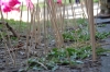 LandArt  Holzstäbchen setzen