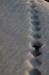Spuren im Schnee