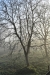 DSC_0002-e1586898031655 DSC_0002-e1586898031655