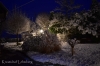 Schneenacht (3) Kopie Schneenacht (3) Kopie